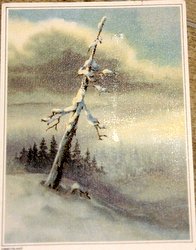 finnland postcard winter landscape