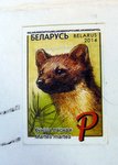 Belarus stamp of an animal