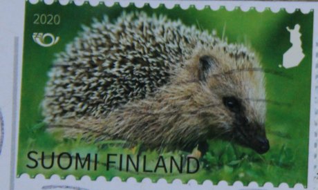 finnish postage stamp Hedgehog