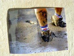 postcard of mudflat hiker