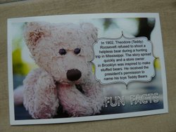 postcard teddy bear