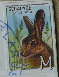 rabbit stamp from Belarus