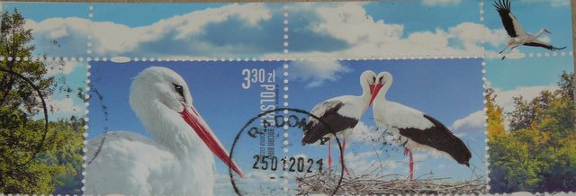 Polish stamps of stork