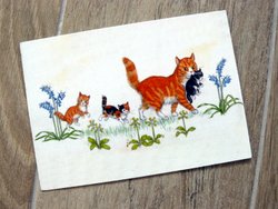 postcard cats