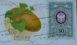 russian pumpkin plant postage stamp