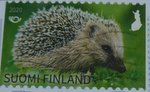 Hedgehog postage stamp