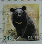 asiatic black bear postage stamp