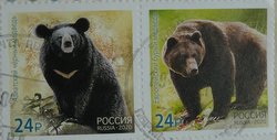 bear postage stamps Russia