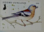 bird Common Chaffinch postage stamp