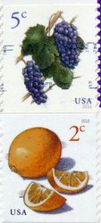 fruit stamps usa