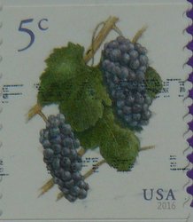 Grape postage stamp