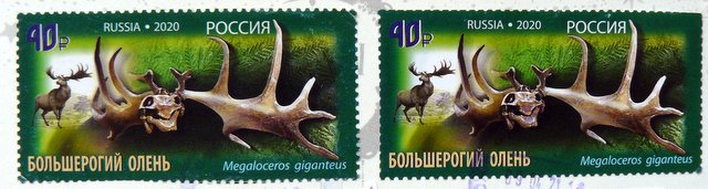 Postage stamp Irish Elk