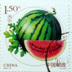 melon postage stamp