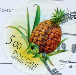 pineapple postage stamp