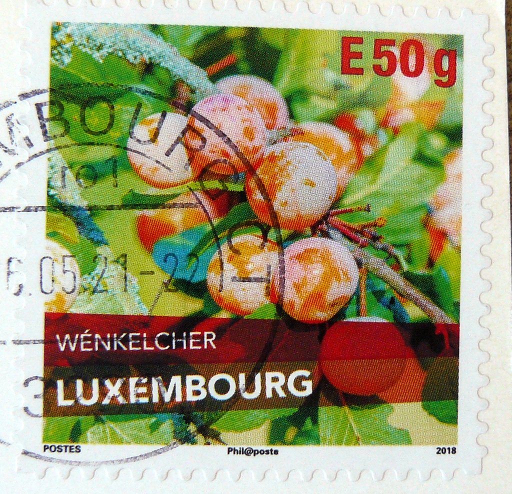 postage stamp Mirabelle Wenkelcher