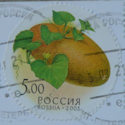 pumpkin postage stamp