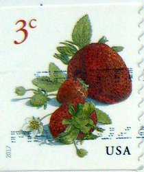 strawberry postage stamp