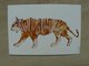 thumbnail image drawing tiger postcard