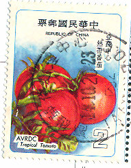 tomato postage stamp