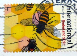 postage stamp bees