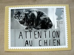 cat postcard UK