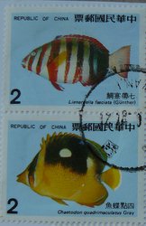 fish postage stamps taiwan