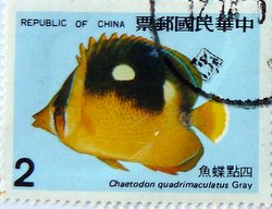 postage stamp taiwan fourspot butterflyfish