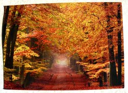 Autumn postcard