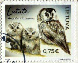Barn Owl postage stamp