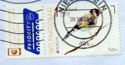 Bird Goldfinch postage stamp from the Netherlands