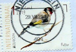Goldfinch bird postage stamp from the Netherlands