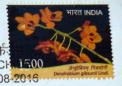 India orchid postage stamp