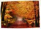 thumbnail image Autumn postcard