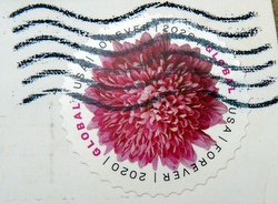 U.S. stamp