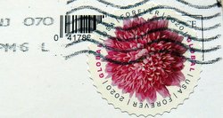 global postage stamp USA