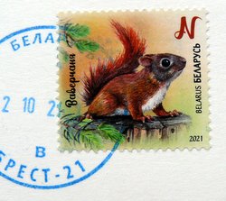 postage stamp squirrel with postmark