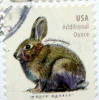 brush rabbit postage stamp from USA