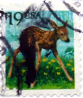 fawn postage stamp from USA