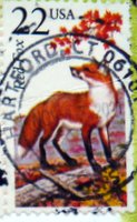red fox postage stamp from USA