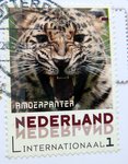 Amur Leopard postage stamp from Netherlands