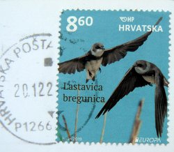 sand martin bird postage stamp croatia