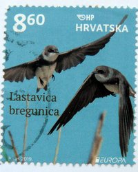 Sand Martin Bird stamp