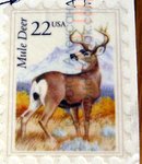 stamp mule deer usa