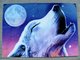 thumbnail image wolf and moon postcard