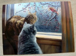 two cats at the window postcard
