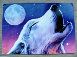 wolf and moon postcard