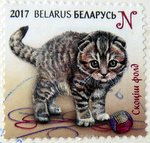 cat kitten tabby stamp