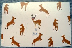 deer postcard