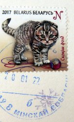 kitten postage stamp