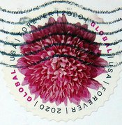 USA stamp on postcard_205